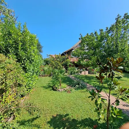Borostyan Haz Case de vacanță Felsőörs