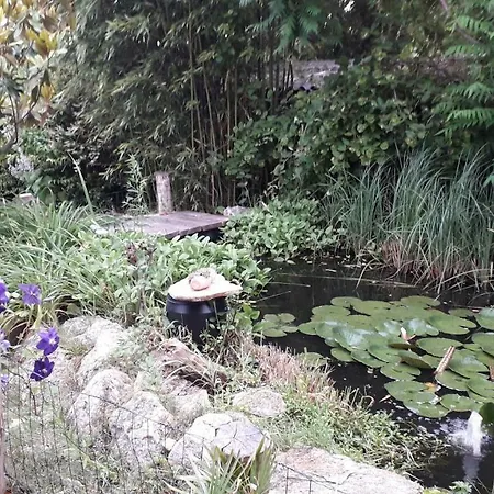 Vakantiehuis Borostyan Haz Felsőörs